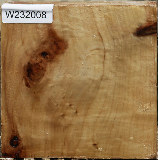 California Cottonwood Bowl Blank