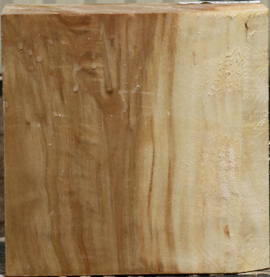 California Cottonwood Bowl Blank