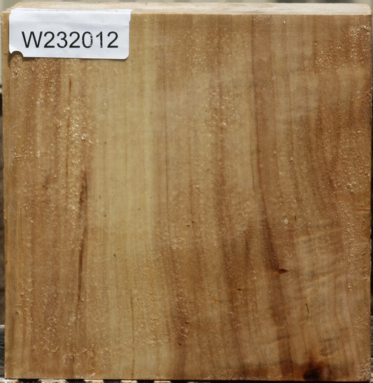 California Cottonwood Bowl Blank