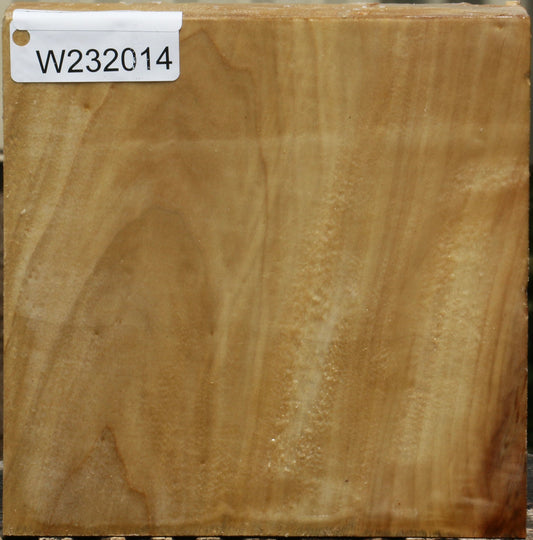 California Cottonwood Bowl Blank