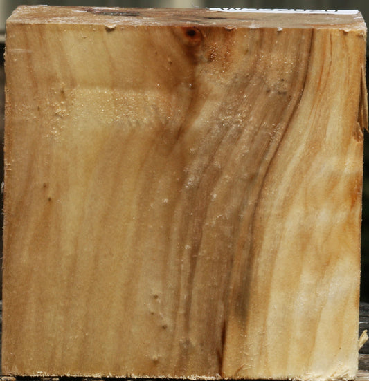 California Cottonwood Bowl Blank