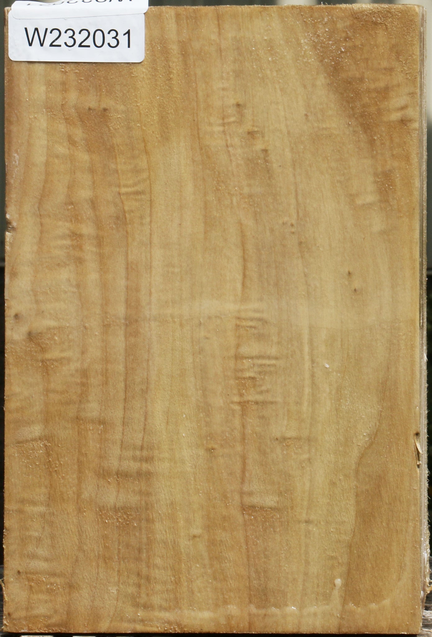 California Cottonwood Vessel Blank