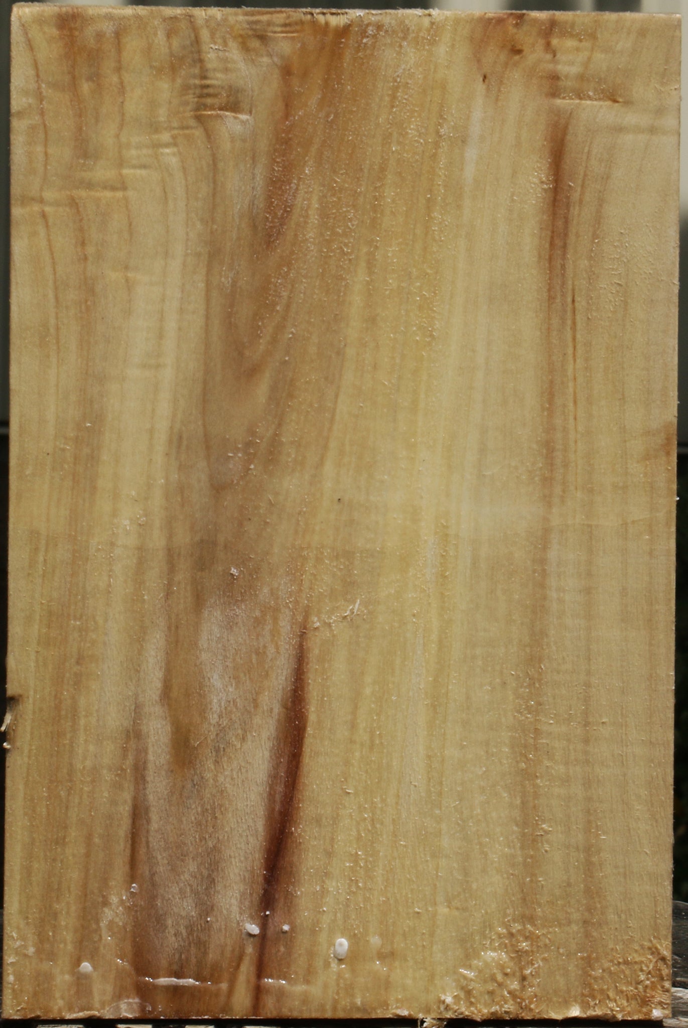 California Cottonwood Vessel Blank