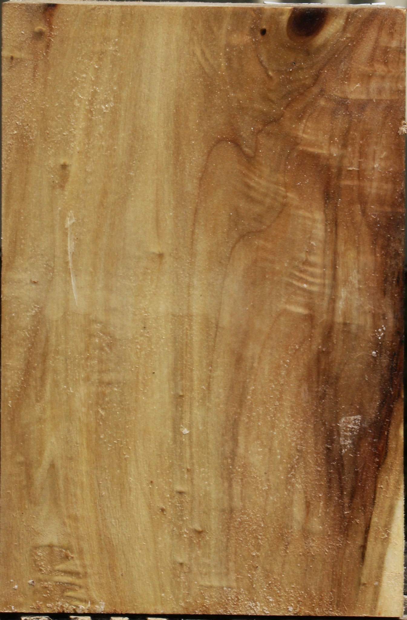 California Cottonwood Vessel Blank