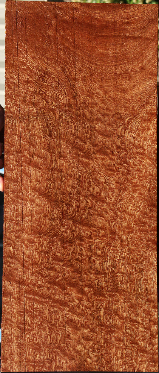 Exhibition Pomelle Sapele Instrument Lumber