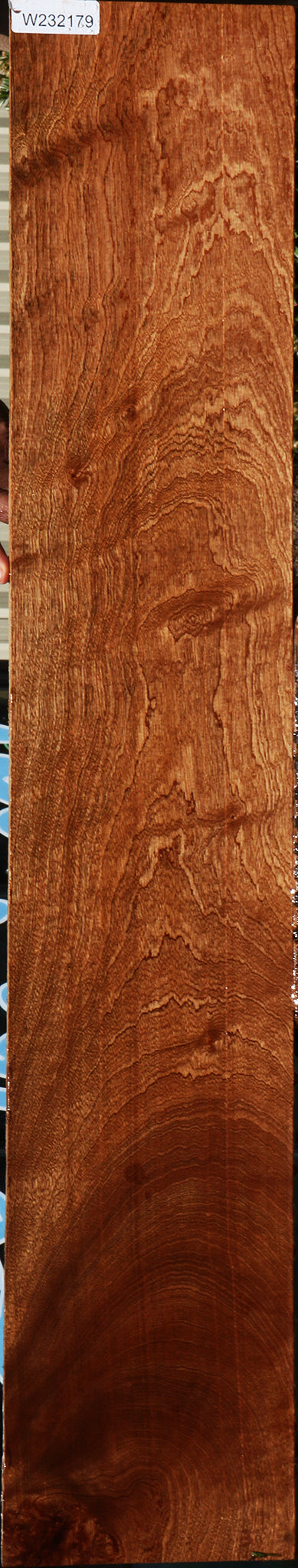 Figured Pomelle Sapele Lumber