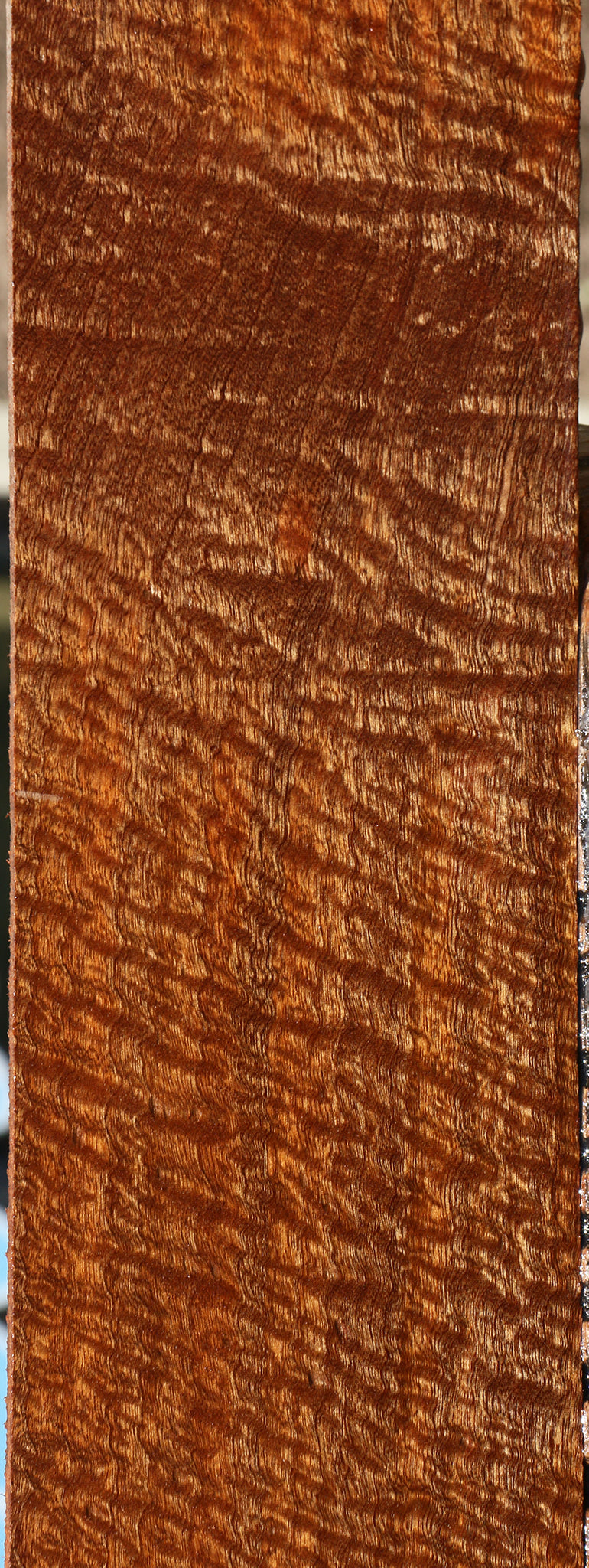 Pomelle Sapele Instrument Billet