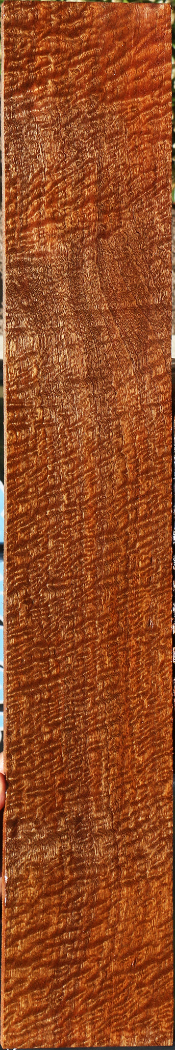 Pomelle Sapele Instrument Billet