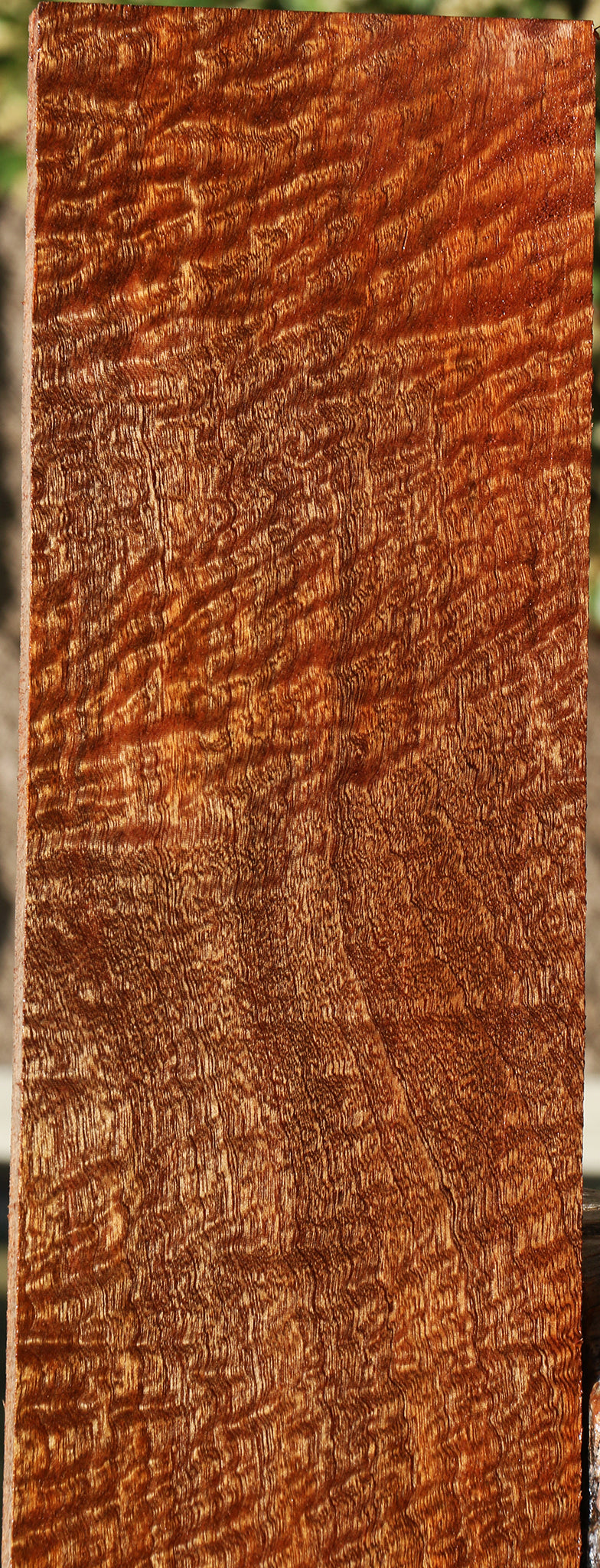 Pomelle Sapele Instrument Billet