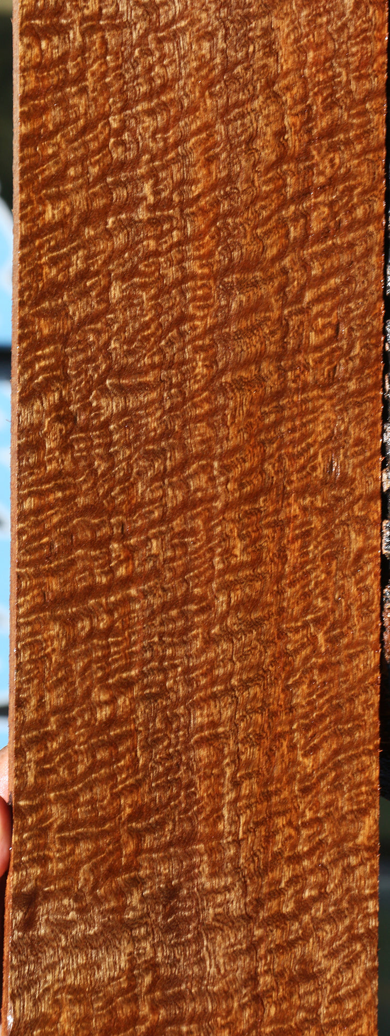 Pomelle Sapele Instrument Billet