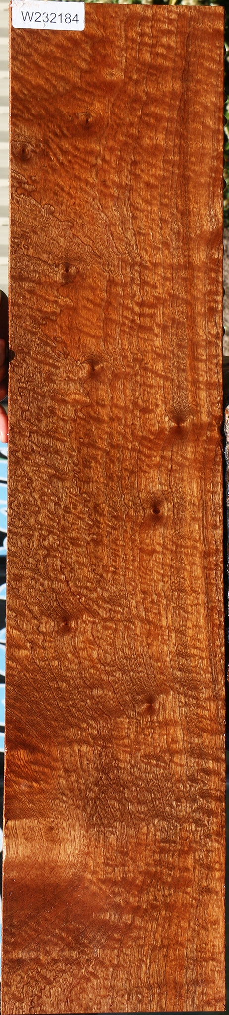 Exhibition Pomelle Sapele Lumber