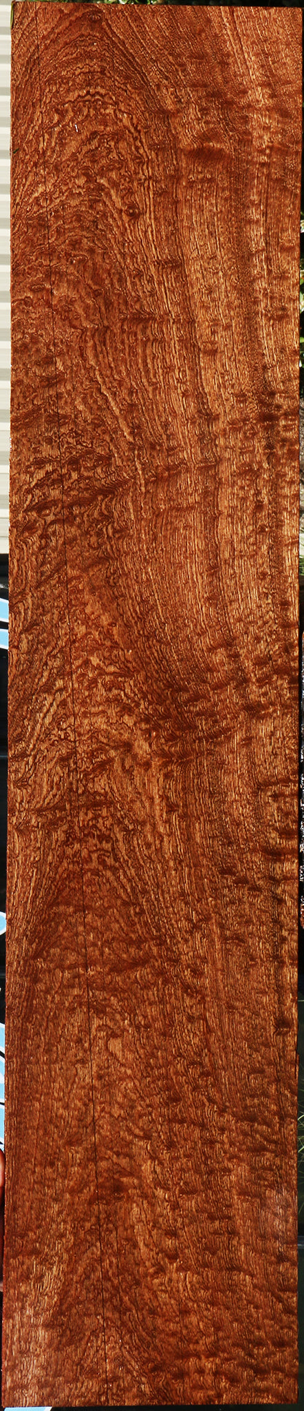 Exhibition Pomelle Sapele Instrument Lumber