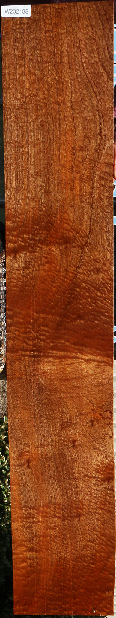 Extra Fancy Pomelle Sapele Lumber