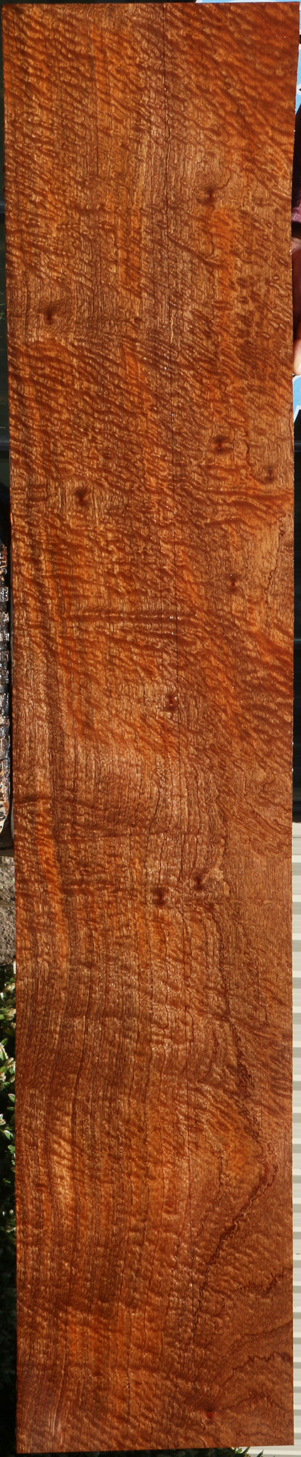 Exhibition Pomelle Sapele Instrument Lumber