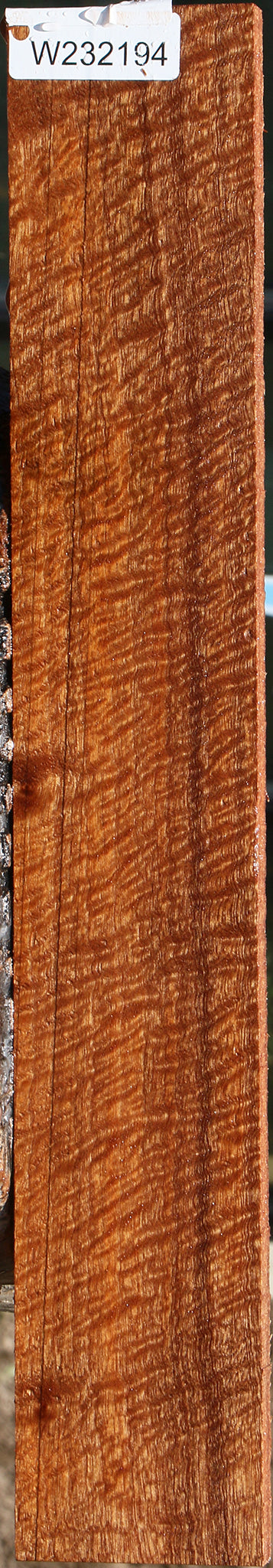 Exhibition Pomelle Sapele Lumber