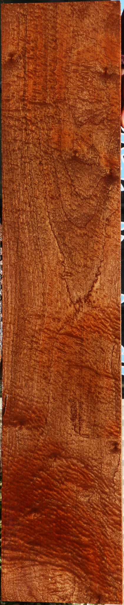 Extra Fancy Pomelle Sapele Lumber