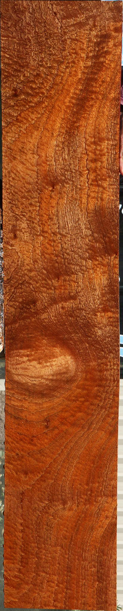 Exhibition Pomelle Sapele Lumber