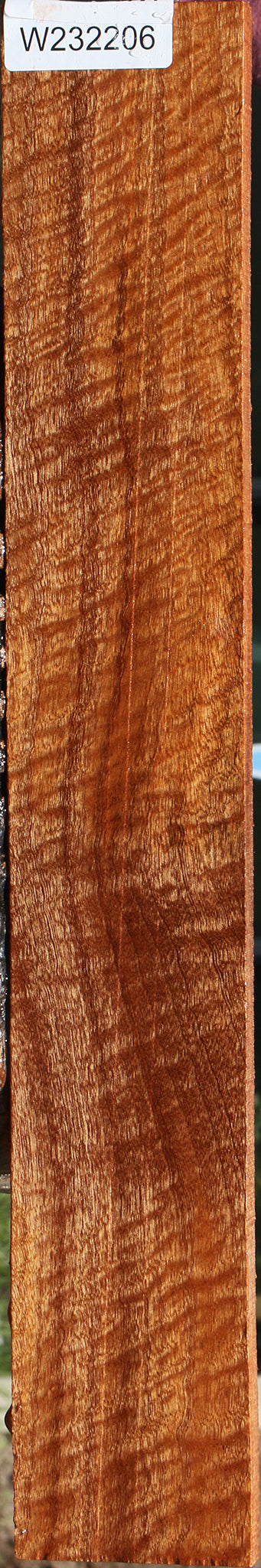 Exhibition Pomelle Sapele Lumber