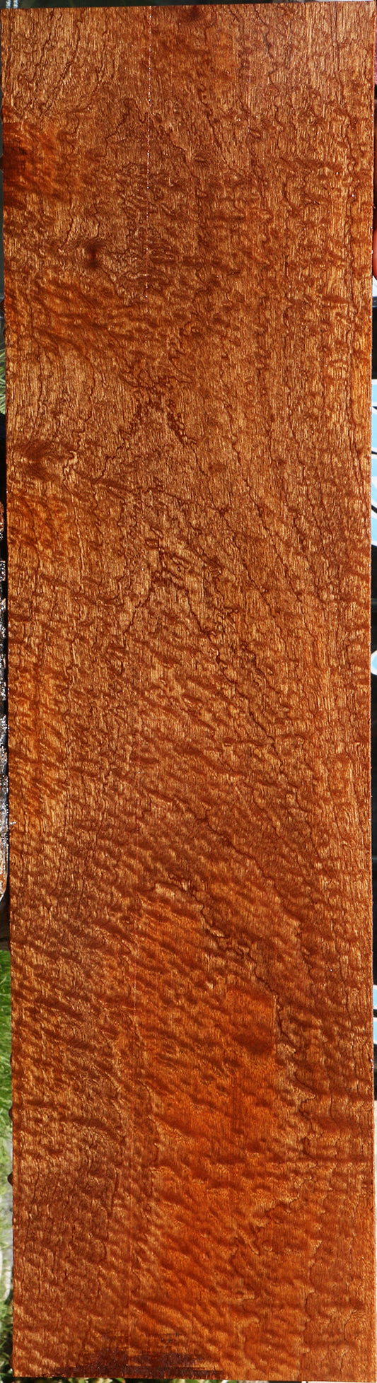 Exhibition Pomelle Sapele Instrument Lumber