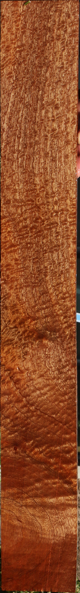 Extra Fancy Pomelle Sapele Lumber