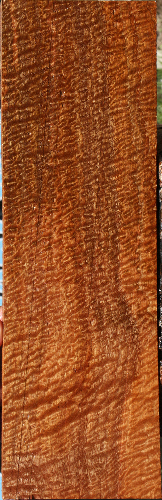 Exhibition Pomelle Sapele Lumber