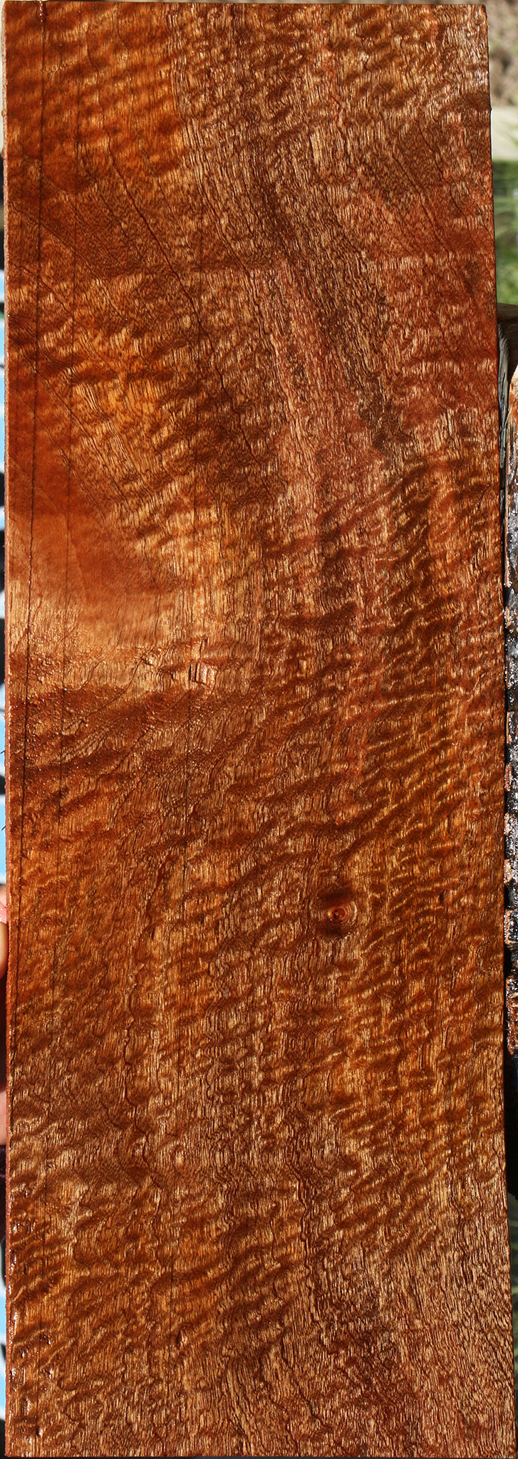 Exhibition Pomelle Sapele Instrument Lumber