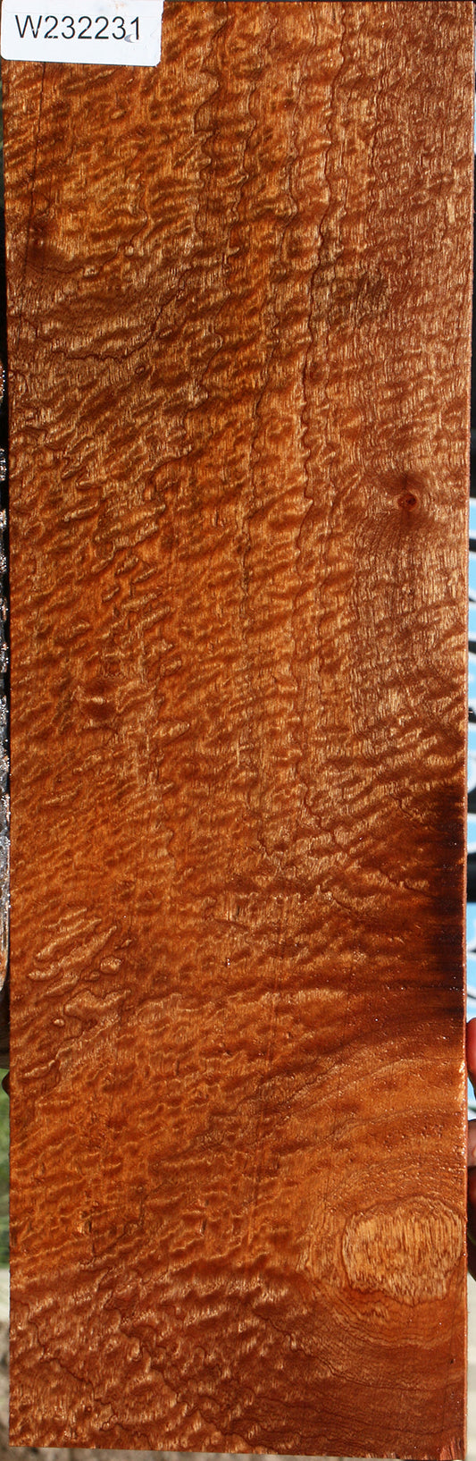 Exhibition Pomelle Sapele Lumber