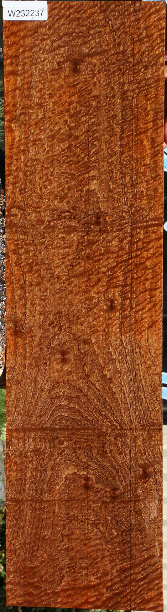 Exhibition Pomelle Sapele Instrument Lumber