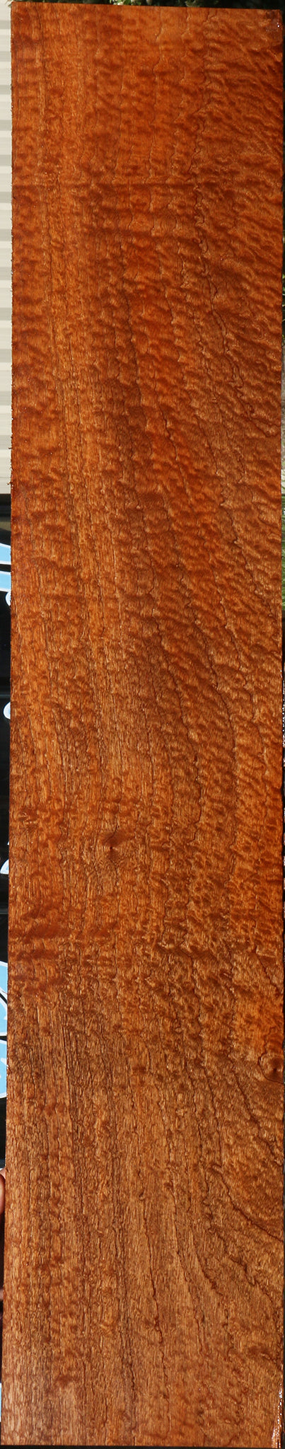 Exhibition Pomelle Sapele Instrument Lumber