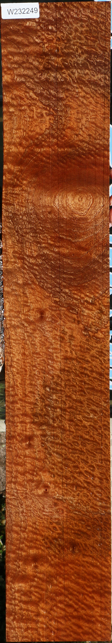 Extra Fancy Pomelle Sapele Lumber