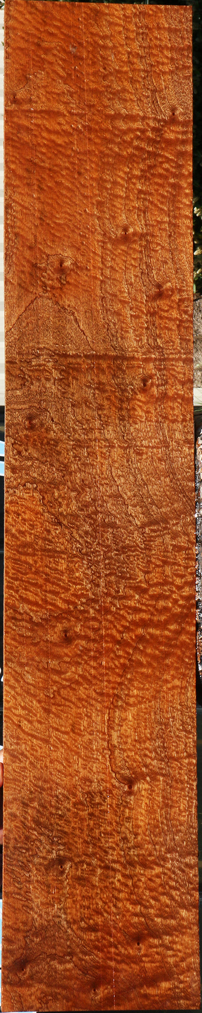 Exhibition Pomelle Sapele Lumber