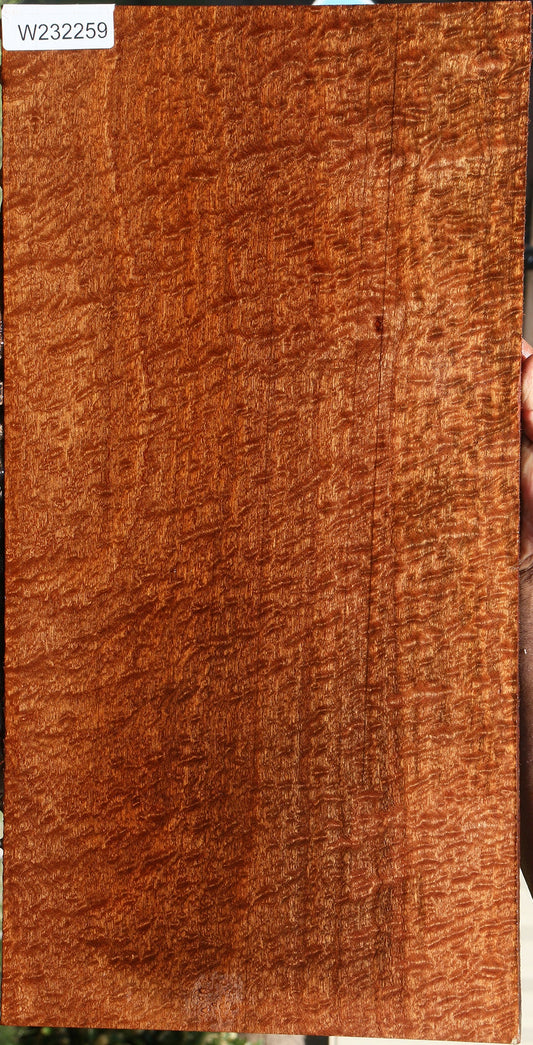 Exhibition Pomelle Sapele Instrument Lumber