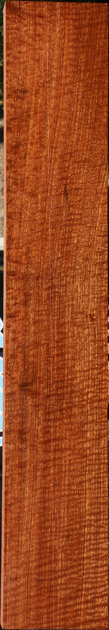 Exhibition Pomelle Sapele Instrument Billet