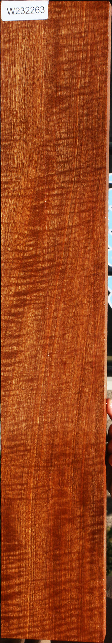 Exhibition Pomelle Sapele Instrument Billet