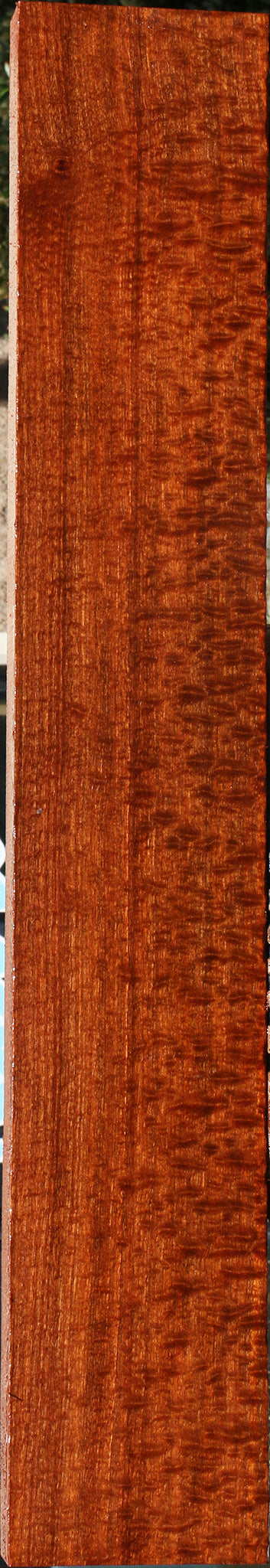 Exhibition Pomelle Sapele Instrument Billet