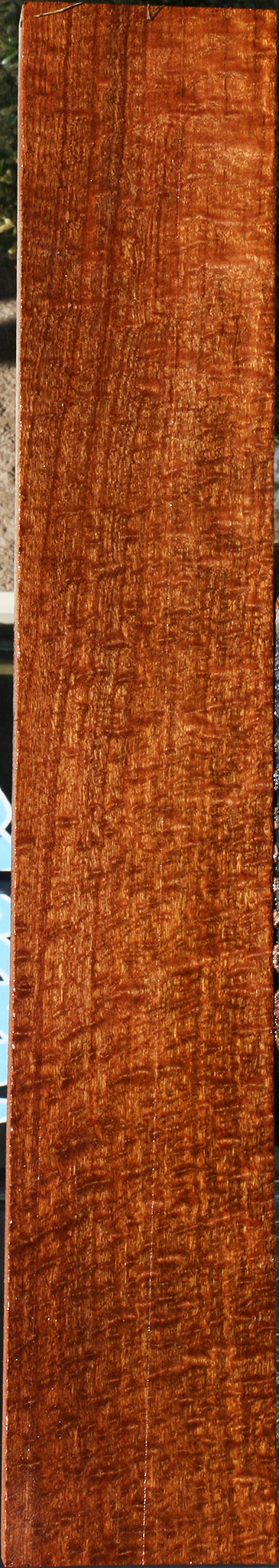 Exhibition Pomelle Sapele Instrument Billet