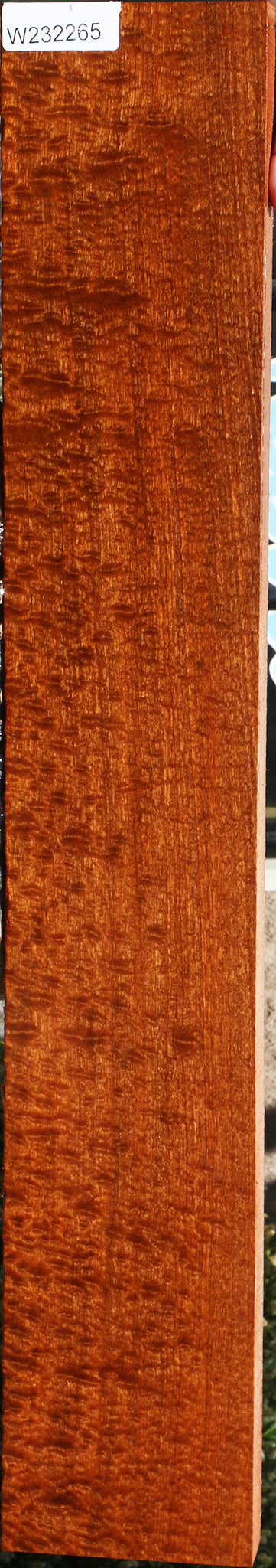 Exhibition Pomelle Sapele Instrument Billet