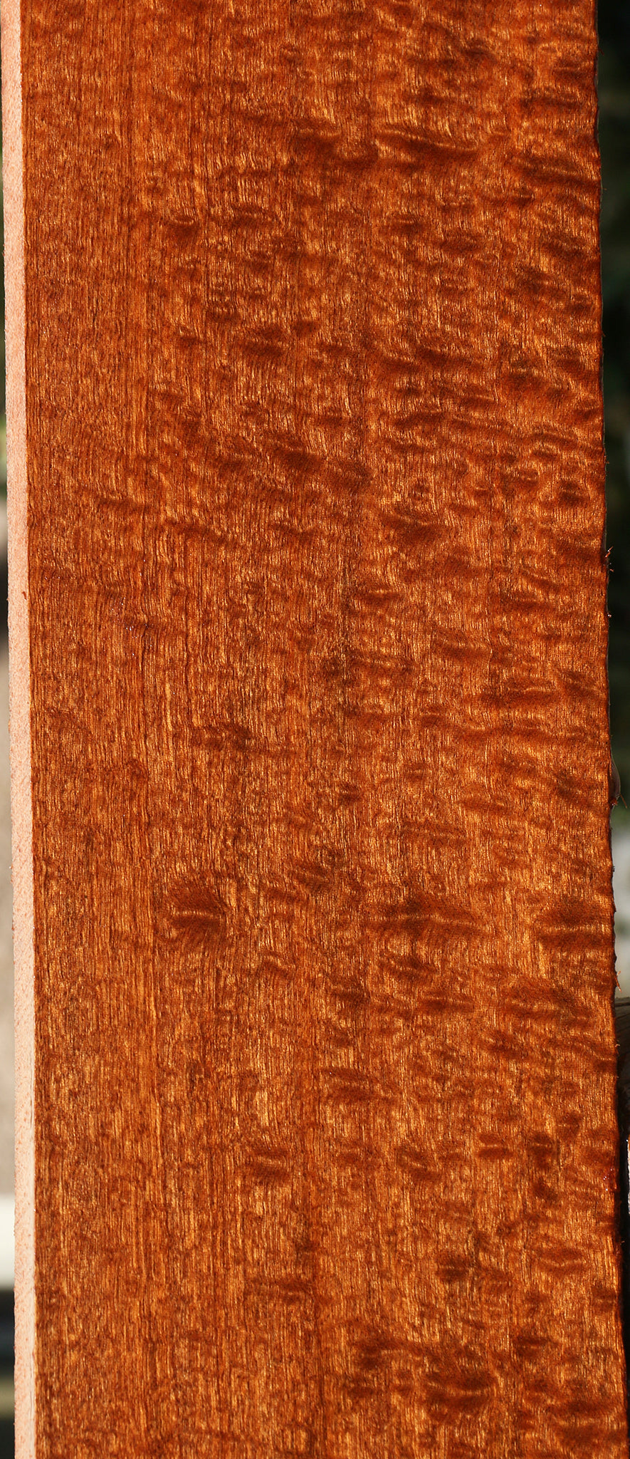 Exhibition Pomelle Sapele Instrument Billet