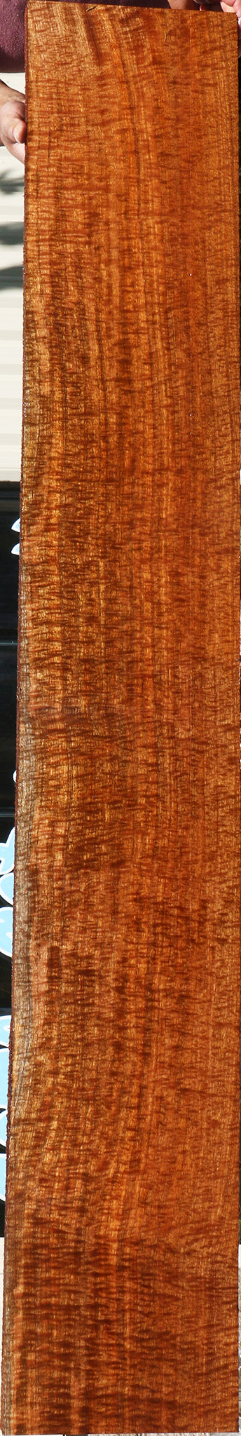 Exhibition Pomelle Sapele Instrument Lumber