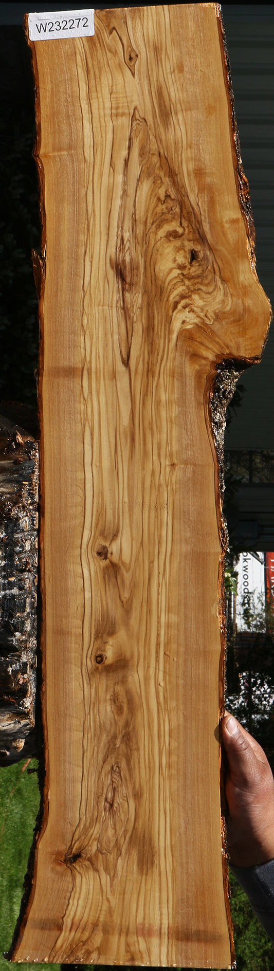 Italian Olive Live Edge Lumber