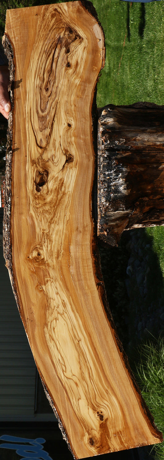 Extra Fancy Italian Olive Live Edge Lumber