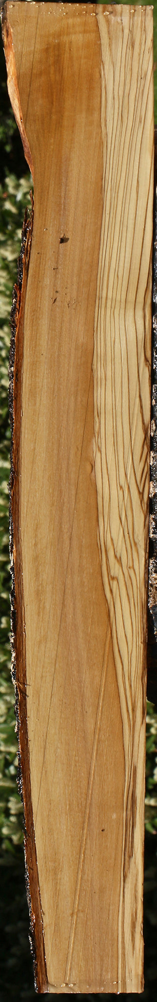 Italian Olive Live Edge Lumber