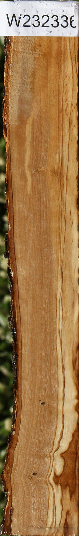 Figured Italian Olive Live Edge Lumber