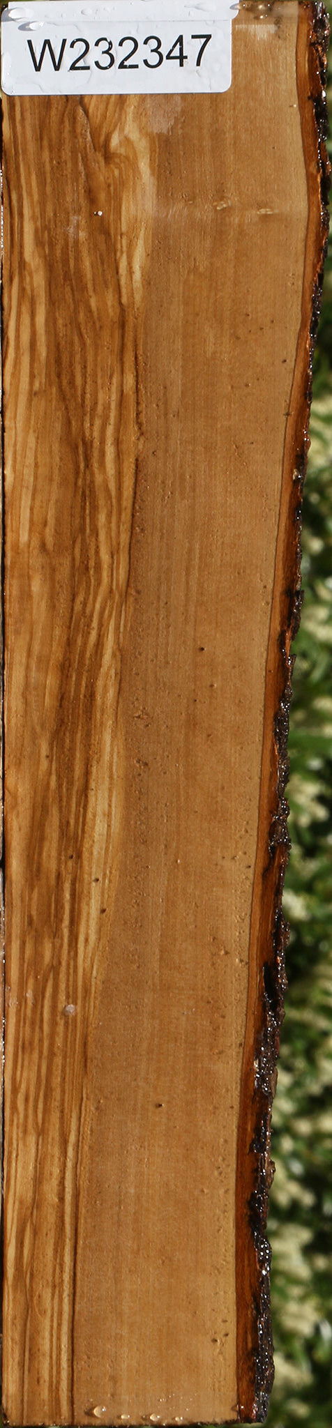 Extra Fancy Italian Olive Live Edge Lumber