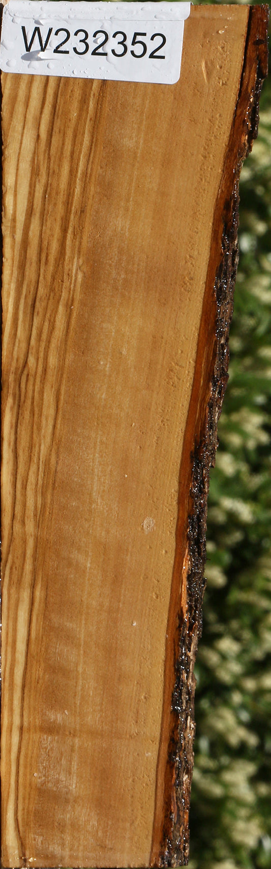 Italian Olive Live Edge Lumber