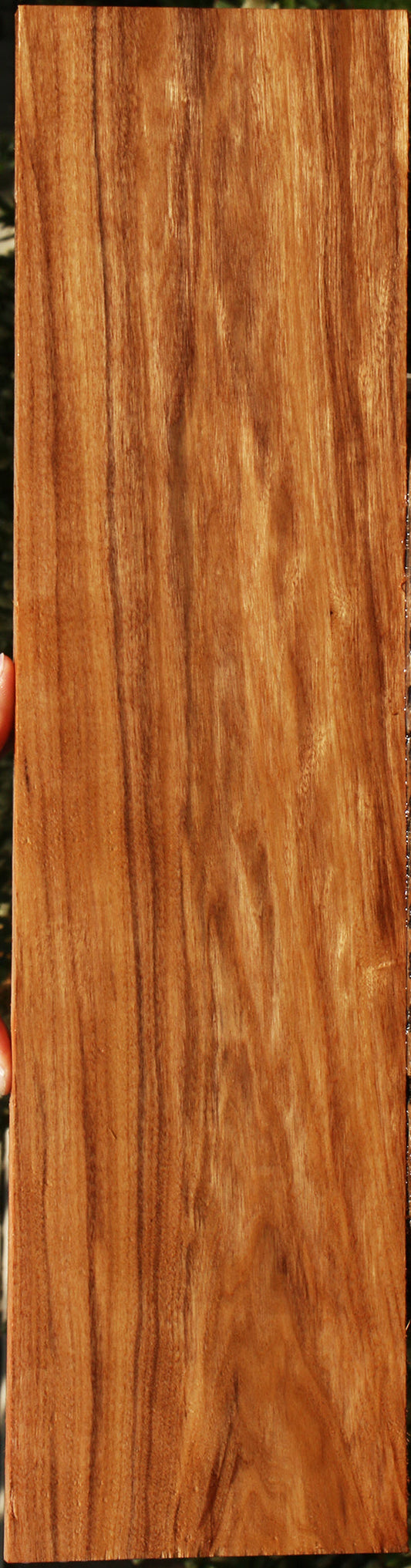 Patagonian Rosewood Lumber