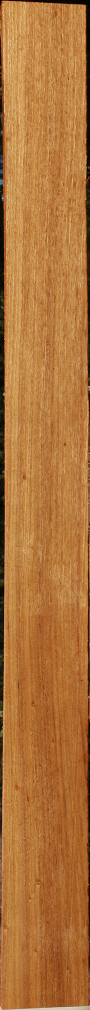 Patagonian Rosewood Lumber