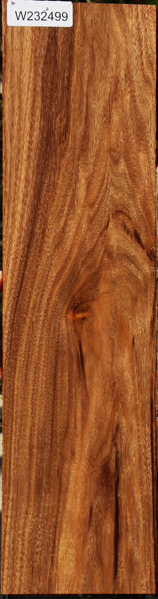 Figured Patagonian Rosewood Lumber