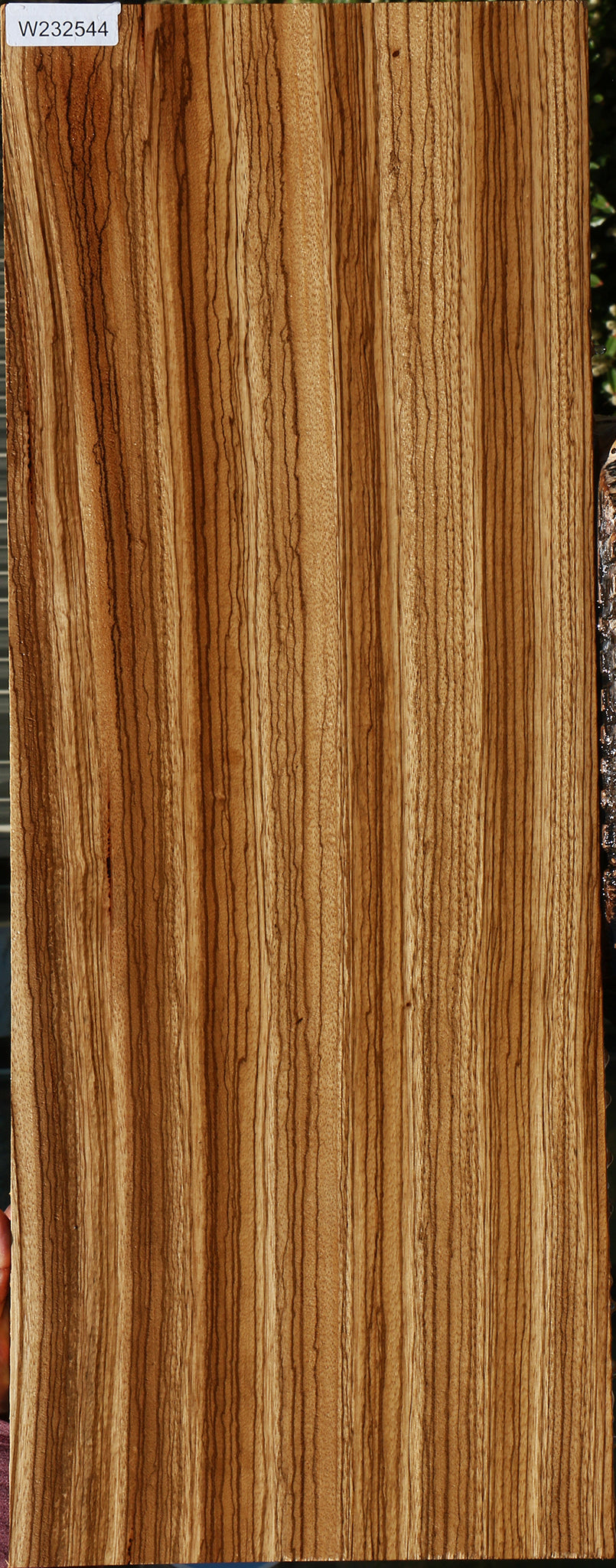 Extra Fancy Quartersawn Zebrawood Lumber – Cook Woods