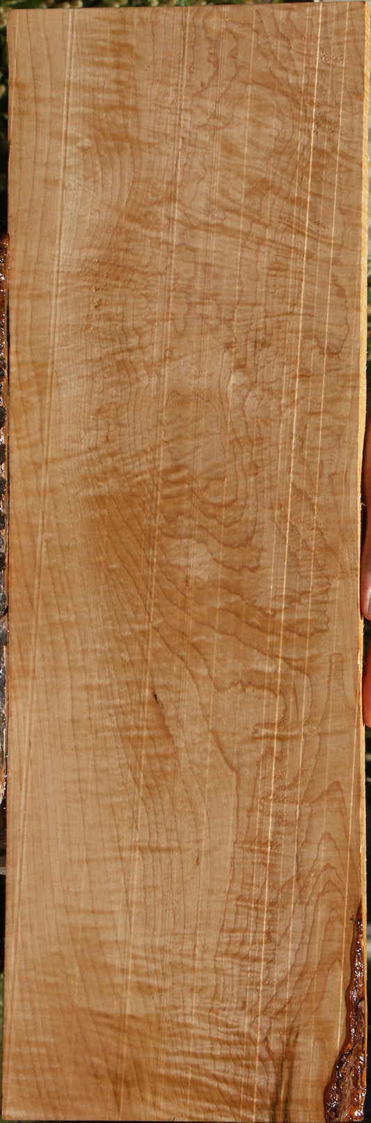 Figured Birdseye Maple Lumber
